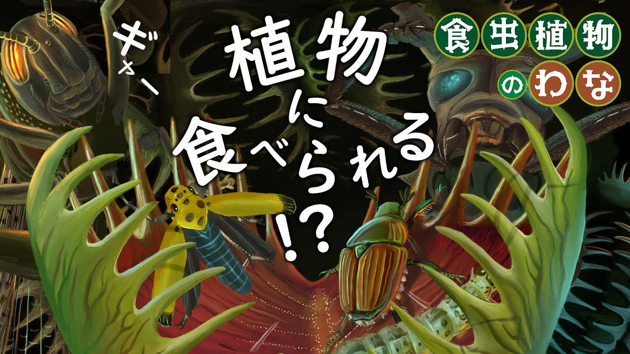 食虫植物のわな 偕成社 児童書出版社