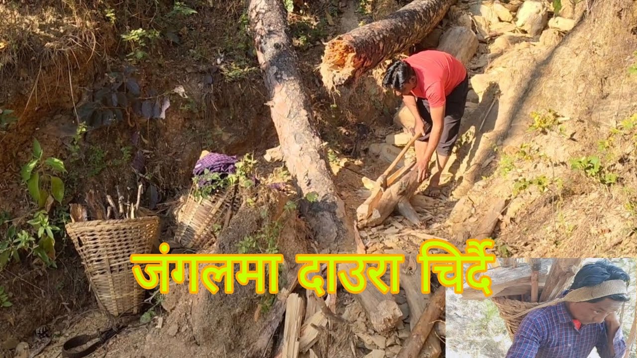 Jangalma daura chirna jadai गाउँले जीवन 