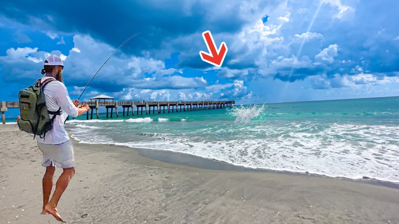 Worlds BEST Fishing Pier Was LOADED! *Mullet Run 2023* YouTube