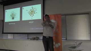 Information Visualization for Large-Scale Data Workflows