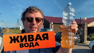 ЖИВАЯ ВОДА/КАРЕЛИЯ/КИВАЧ