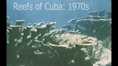 Reefs of the Past: Cuba, 1970s