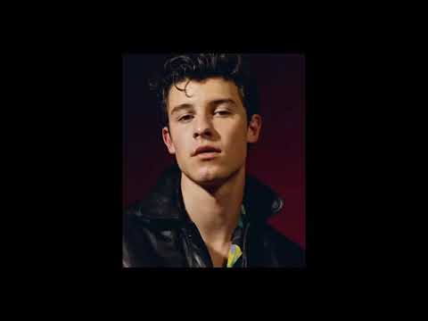 Shawn Mendes - Perfectly Wrong (Audio)