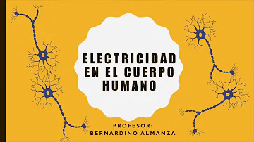 ¿Qué es la bioelectricidad?