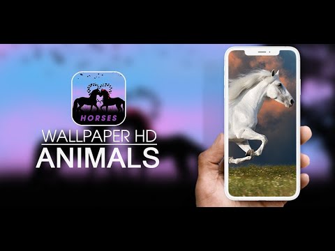 Horse Wallpapers- 4k APK for Android Download