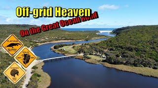 Ep 12  OffGrid camping on the Great Ocean Road  So much wildlife