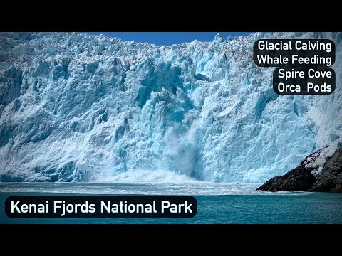 Video: Kaj Storiti V Aljaškem Gozdu Chugach In Nacionalnem Parku Kenai Fjords