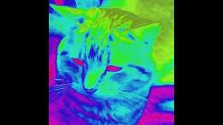 Musique COOL screenshot 3