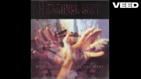 Terminal Sect - Sex, Dying, and Zero Gravity