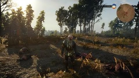 The Witcher 3: Wild Hunt - Frozen Aard