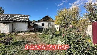 картинка: УЙ САТЫЛАТ КАНТ 2024