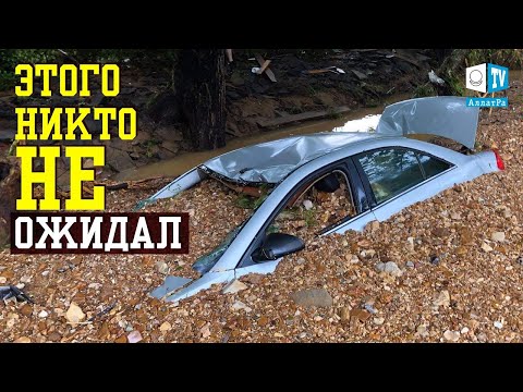 Video: Ar miškai kada nors buvo užtvindyti?