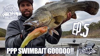 The Perch Palm Diaries - Episode five - MURRAY COD ON PPP SWIMBAITS!