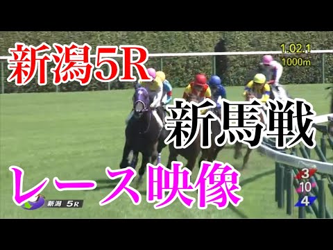 8/26 新潟5R 新馬戦 レース映像