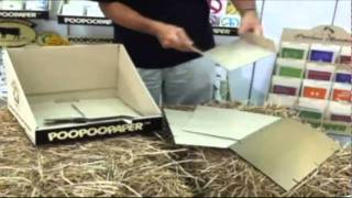 Standard Display Assembly Instructions.f4v