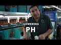 HOW TO: lower PH for your Tropical Fish Tank