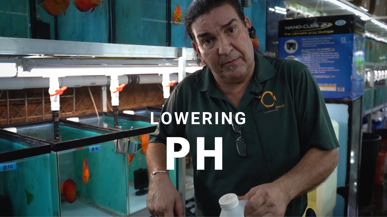 HOW TO: lower PH for your Tropical Fish Tank - YouTube