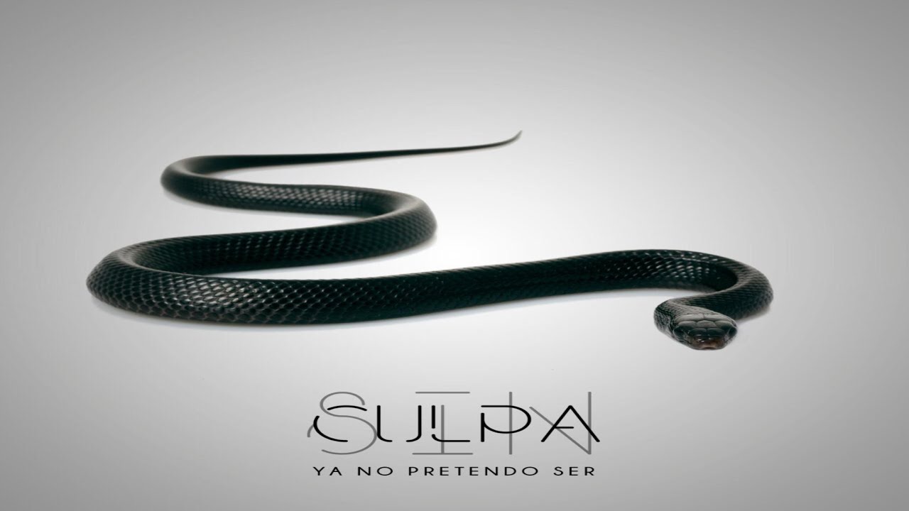 SIN CULPA - MAGIA