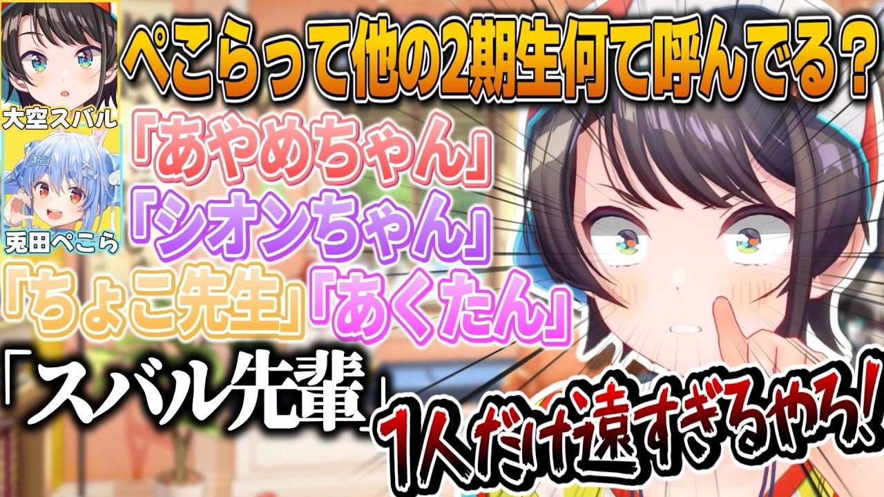 2期生で1人だけぺこらとの距離が遠い事に気が付いてしまったスバル【大空スバル/兎田ぺこら/ホロライブ切り抜き】