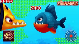 Fishdom Ads Mini Games New 6.3Update video  Hungry Fishs Gameplay 2024 Sheeraz Gaming yt