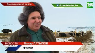 Создали бизнес на селе, окупили его, а денег на стратегическое развитие нет. Своё дело | ТНВ
