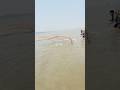 Naiem borders Vary big fish catching net in river #amazing #fishing #villagelife