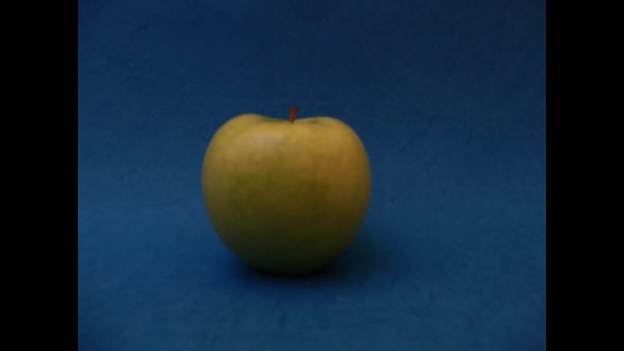 LM45-Teaser-sabbath26