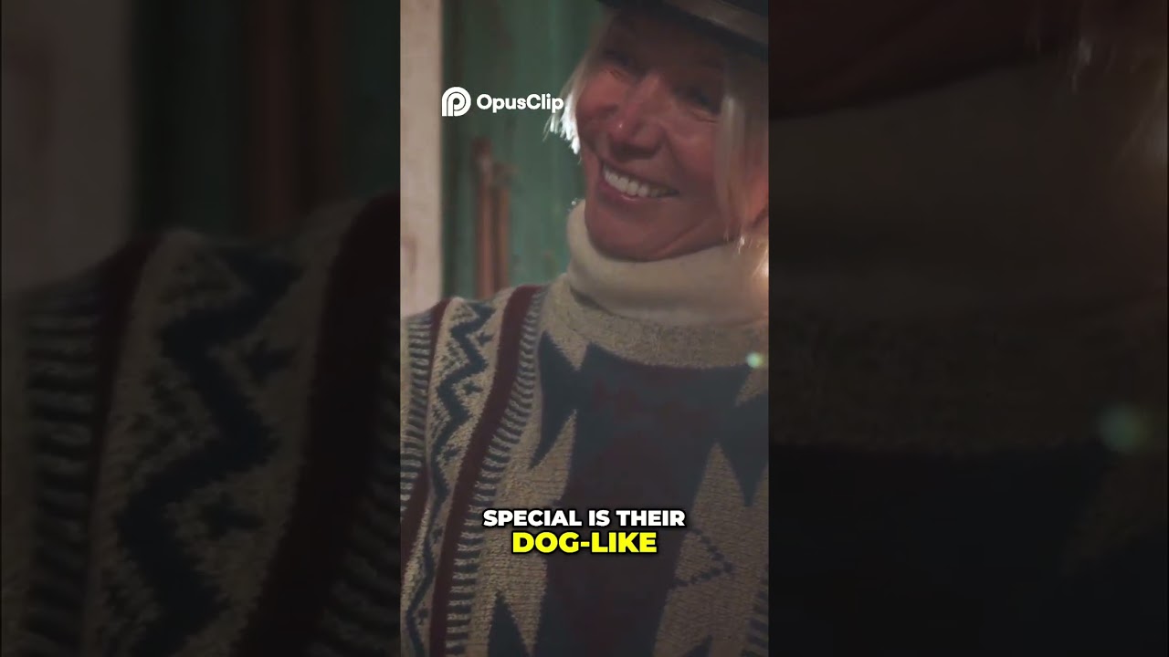 Почему абиссинские кошки — атлеты кошачьего мира 🐱🔥 