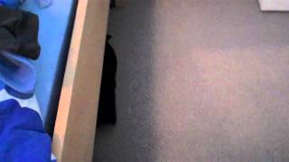Hoover Nano Light Bagless Vacuum 6-Month Review Part 1 of 2