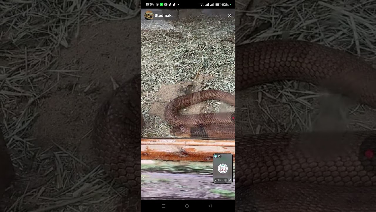 AT STADEMATK ZOO YOU ARE WELCOMED. ENJOY ALL TYPES OF ANIMALS AT YOUR OWN COMFORT