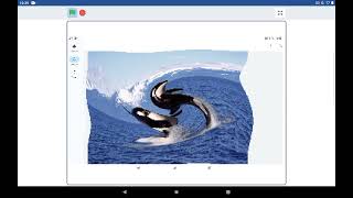 Scratch Orca Screen Blur 🎮