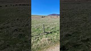 Glen Moy, Angus. East Coast, Scotland. #visitscotland #wildscotland #scotlandoutdoors #Angusglens
