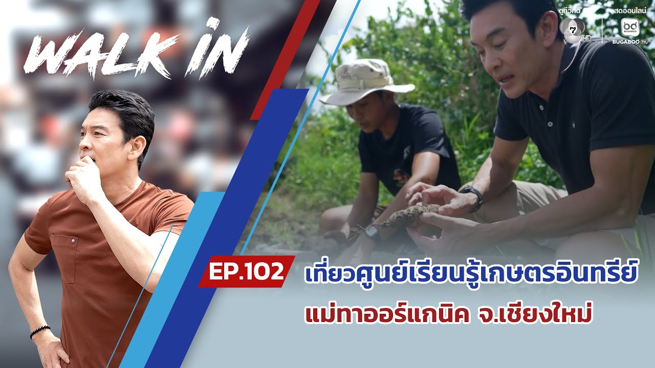 WALK in EP.102 | เที่ยวศูนย์เรียนรู้เกษตรอินทรีย์ แม่ทาออร์แกนิค จ.เชียงใหม่