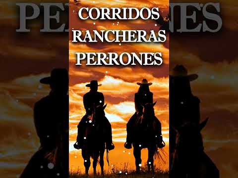 Corridos Rancheras Perrones
