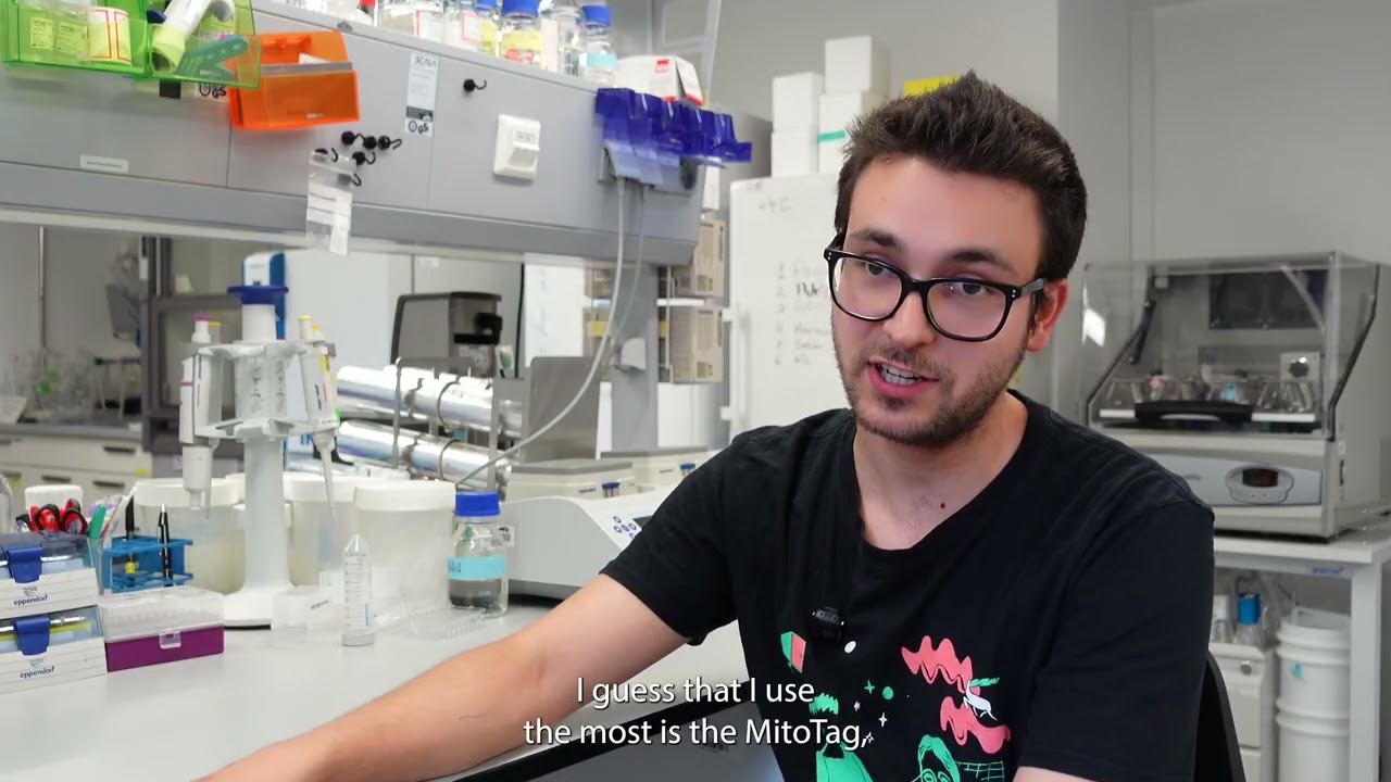 Meet our Early-Career Researchers: Adrián