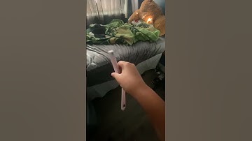 Posting until I go viral day 1