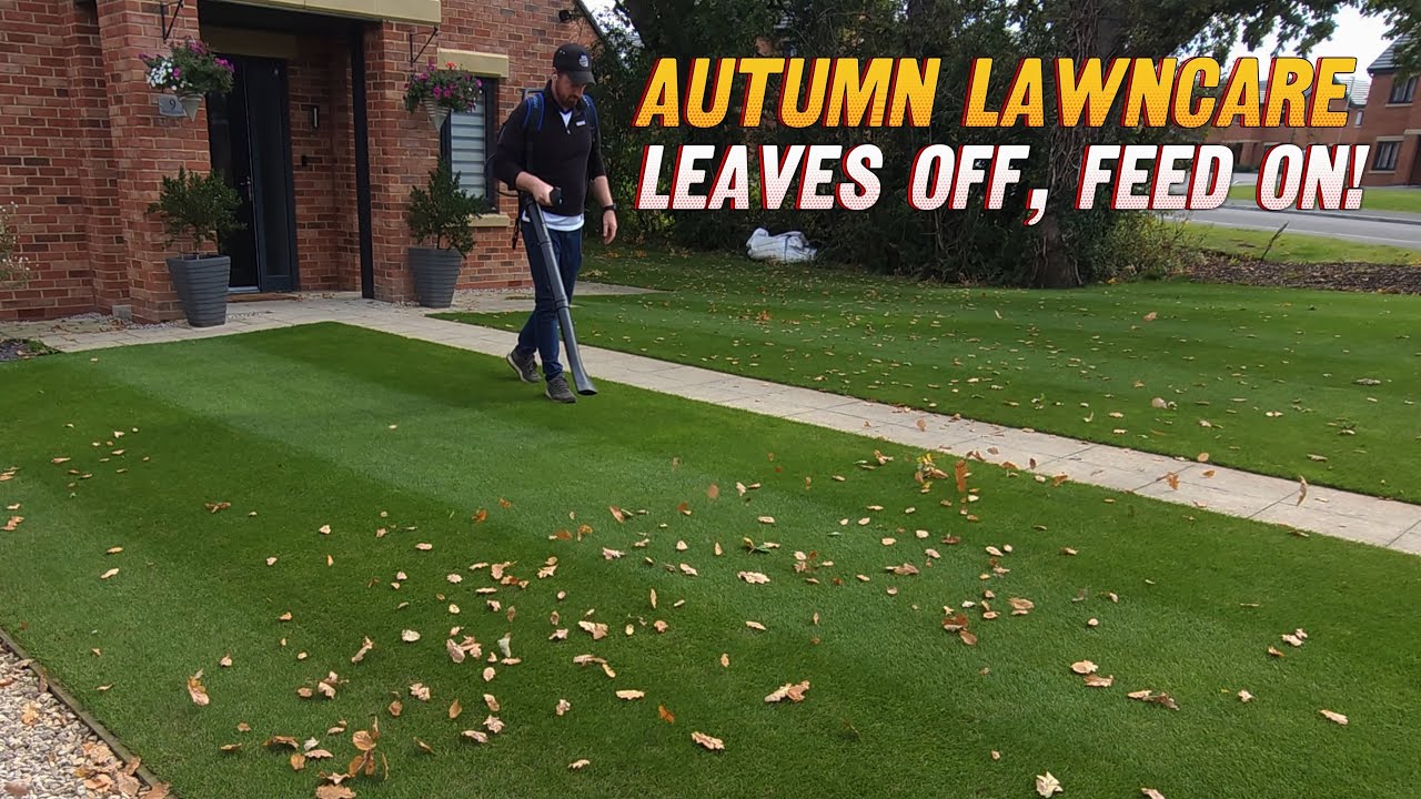 Советы по уходу за газоном осенью 🍂 | Удаление листьев и удобрение для здорового зимнего газона!!