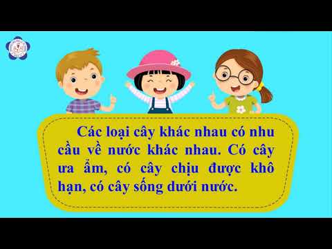 Video Khoa học lớp 4: Nhu cầu nước của thực vật - youtube