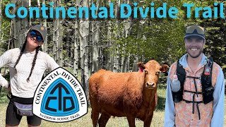 CDT Day 31-32: ASPENS, COW FRIENDS & WIND