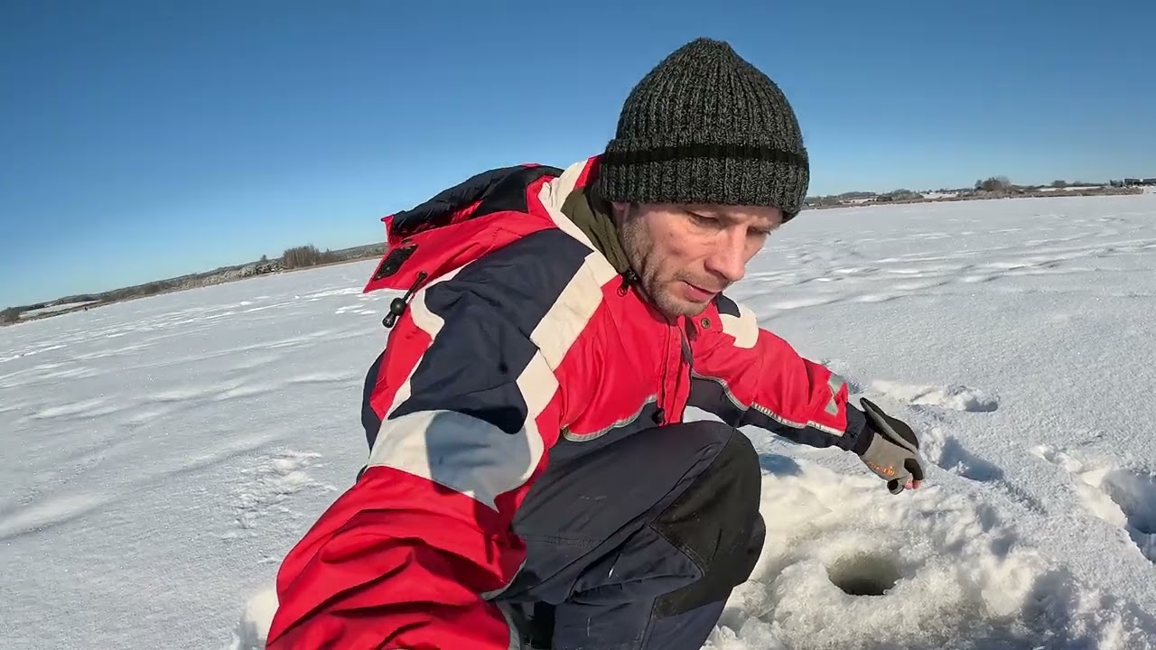 Ice fishing for perch, Ilgė Lake, (Elektrėnai County), Balancer(Jigging rap), 31 January, Lithuania.