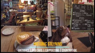 Historic Steyning | Antiques | Dog Café | Cappuccino | Countryside ♥ by Lynn B 162 views 3 months ago 5 minutes, 20 seconds
