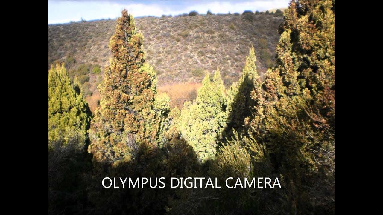 Abelardo epuyen Gonzales-De Los Lagos.