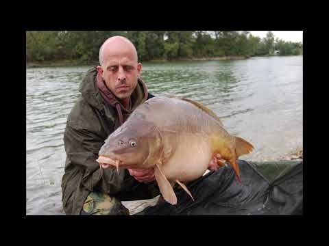 Carp fishing in