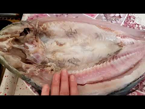فيديو: كيفية ملح السمك للتجفيف