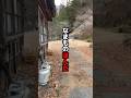 なまものほんだ #shorts #もあ様 #心霊 #廃墟 #ghost