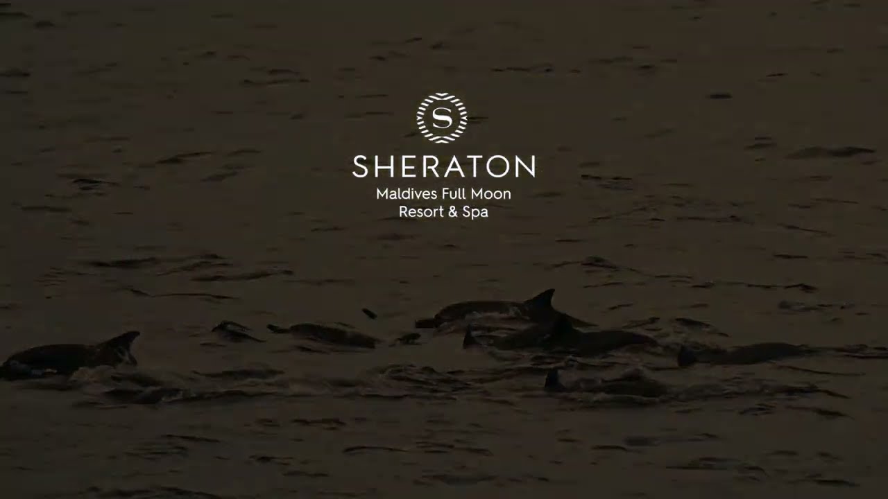 Sheraton Maldives Full Moon Resort & Spa – videó