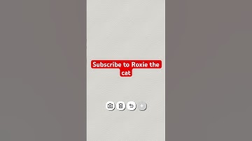 Thumbnail of Roxie the cat