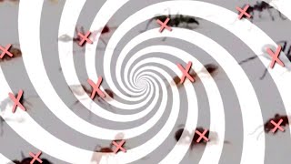 Download Lagu Sound scare away ants, insects, rats, mices, reptiles, mosquitoes... Anti Mites Repellent Sound. MP3