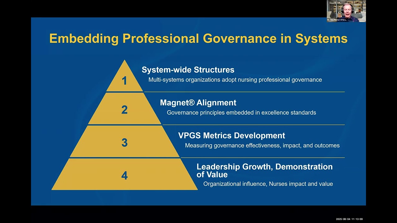 Professional Governance for Nursing: The Framework for Accountability, Engagement, and Excellence