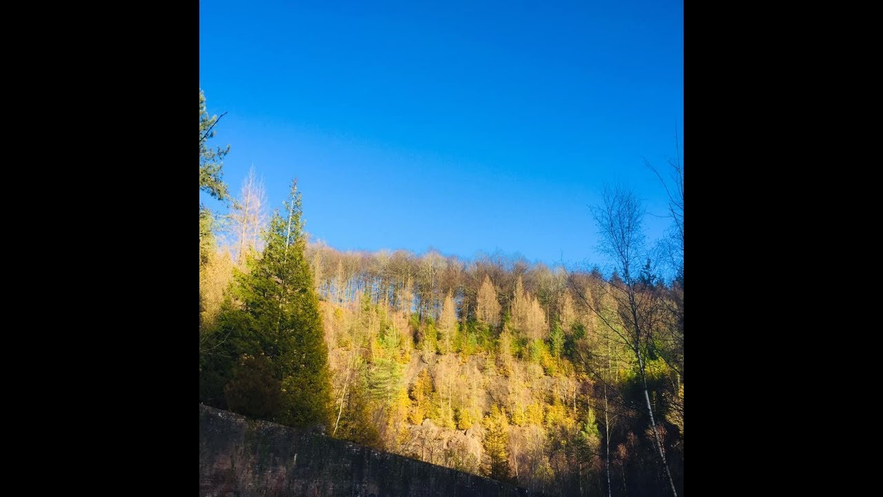 The Blue Rock Trail Forest Of Dean YouTube the-blue-rock-trail-forest-of-dean-youtube